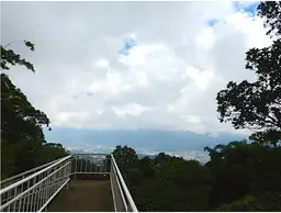 Vista 18