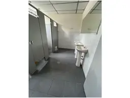Vista 16