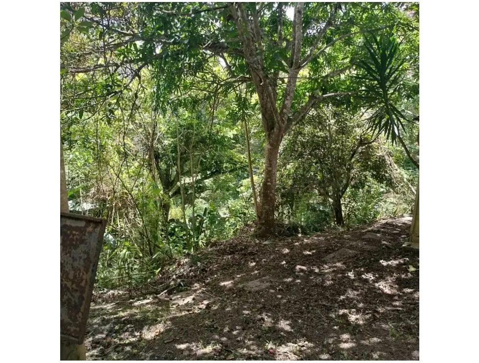 En venta parcela 4000 mts y casa para remodelar Gavilán El Hatillo - 32