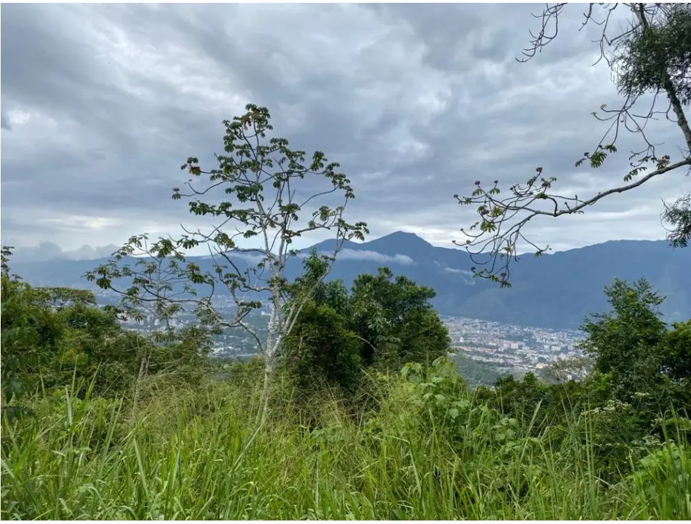 Se vende terreno 5100m2 Alto Hatillo 9430 - 17