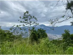 Vista 17