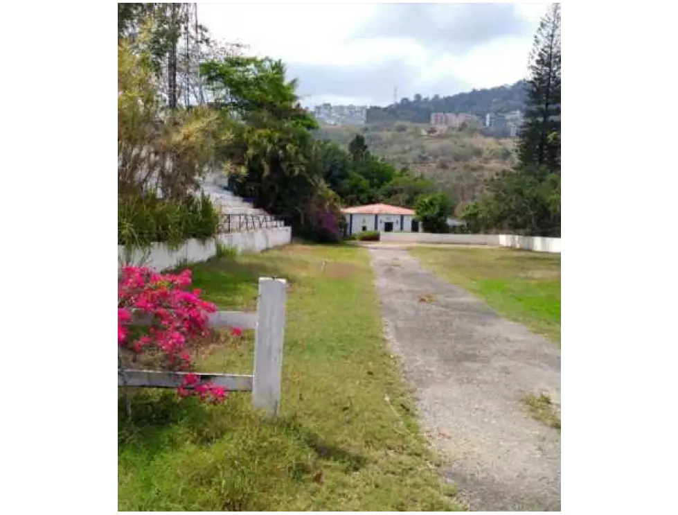 Se vende terreno 15769m2 Macaracuay 7898