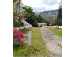 Vista 1