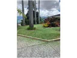 Vista 5