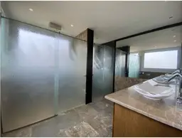 Vista 24