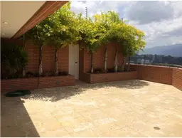Vista 19