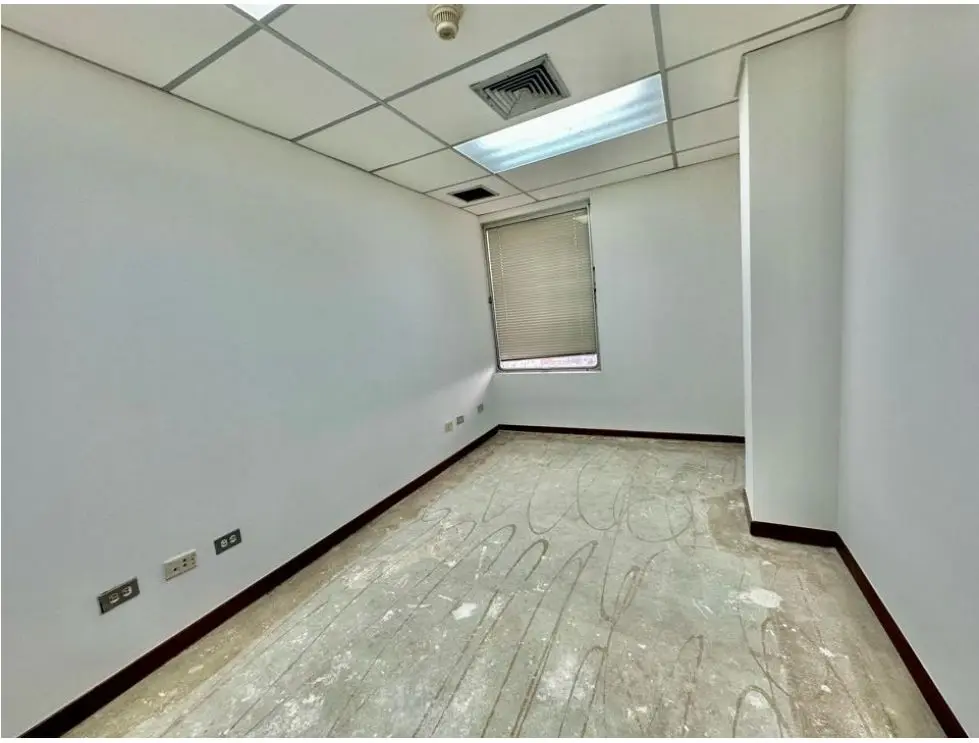 Se alquila oficina 220m2 2b/5p Las Mercedes - 4