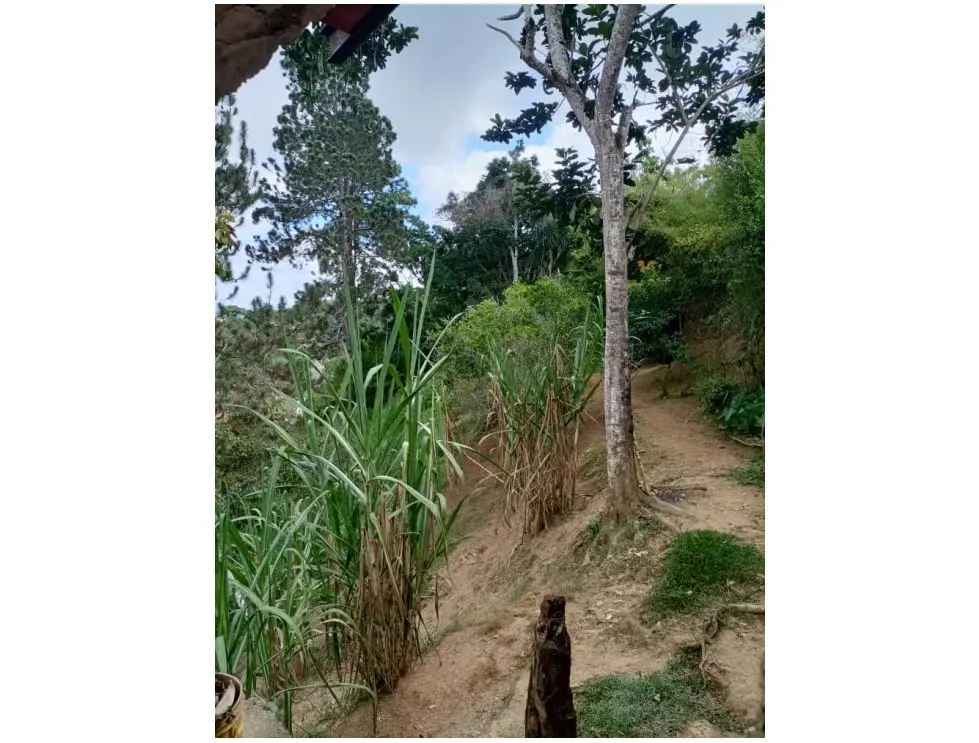 Se vende terreno 4729m2 Sabaneta-El Hatillo 8734 - 5