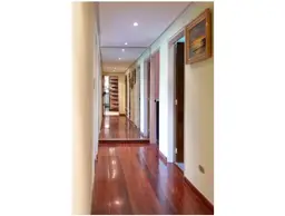 Vista 18