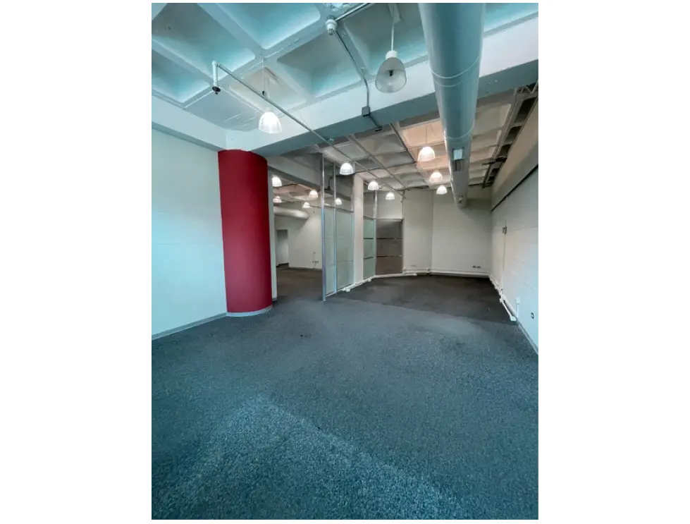 Alquilo en La Castellana, oficina de 400m2 - 6