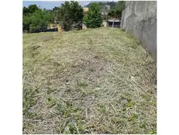 Vista 5