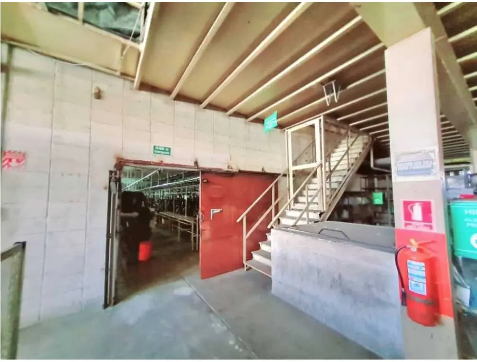 Vendo edificio industrial 7398m2 Guarenas 9744 - 24