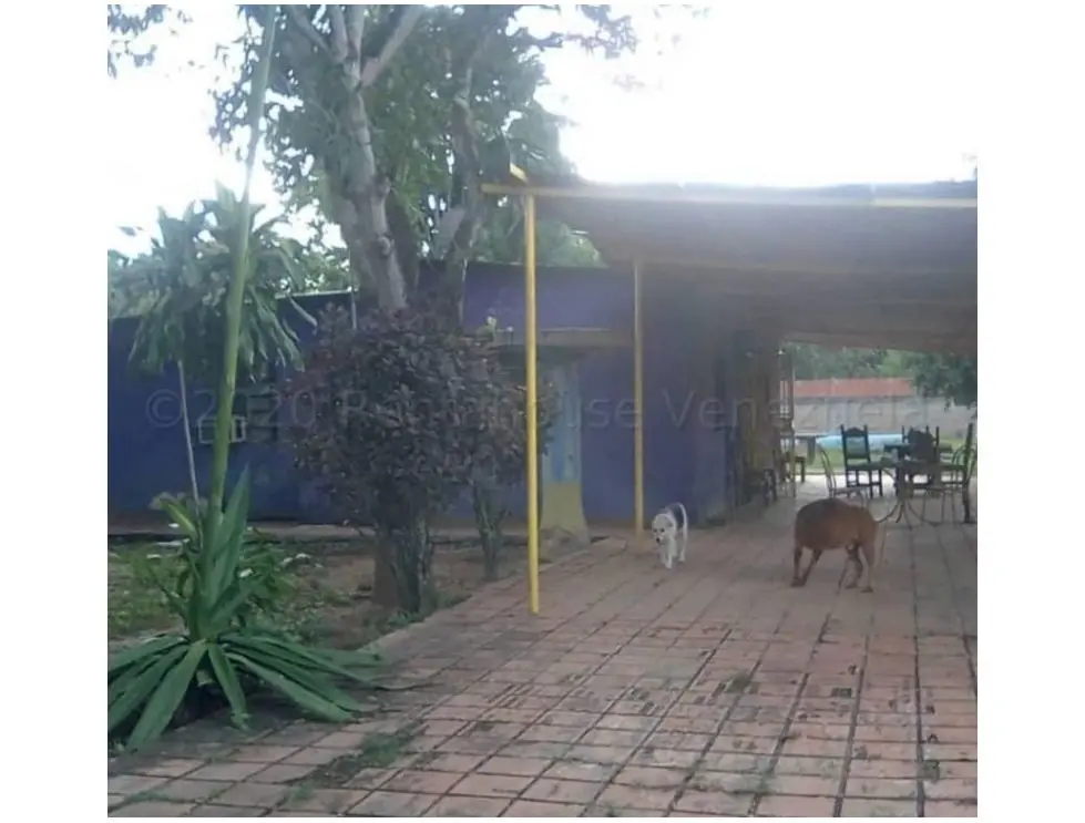 Se vende caballeriza 20.000m2 Santa Lucia-Edo. Miranda 4323 - 5