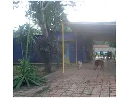 Vista 5