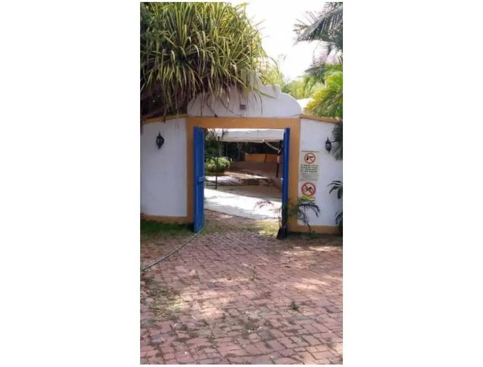 Se vende terreno 15769m2 Macaracuay 7898 - 8