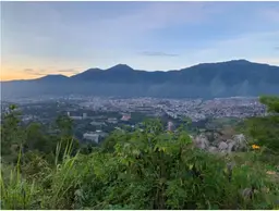 Vista 18