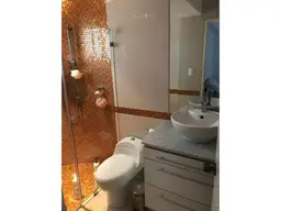 Vista 12