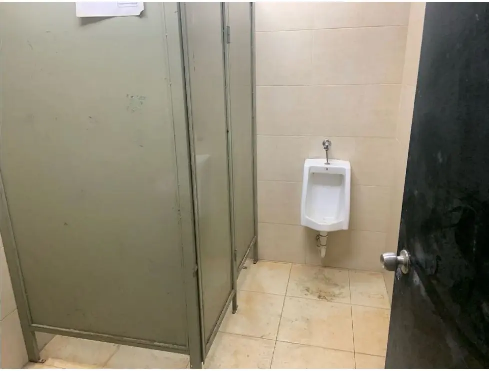 Vendo galpón 4000m2 La Urbina 1649 - 7