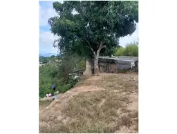 Vista 7