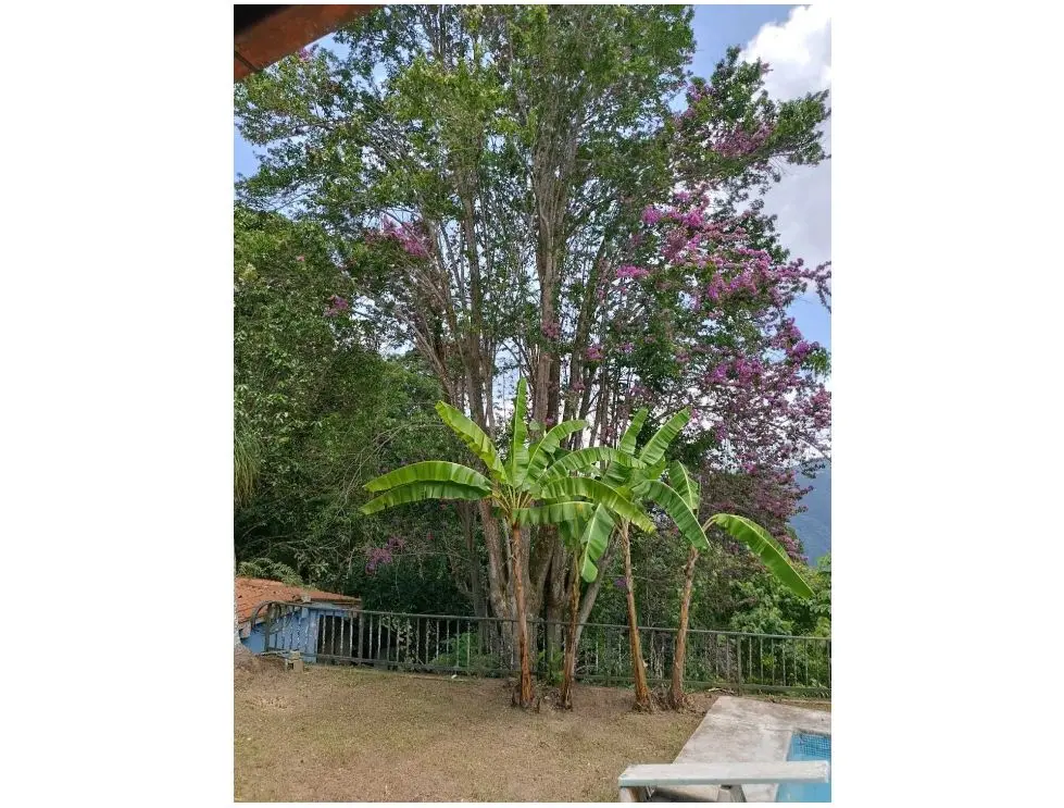 En venta parcela 4000 mts y casa para remodelar Gavilán El Hatillo - 34
