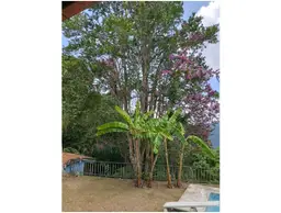 Vista 34