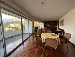 Vista 16