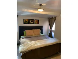 Vista 16