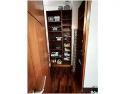 Vista 31