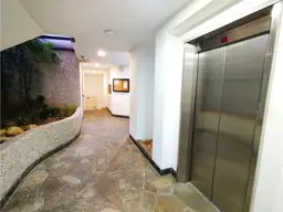 Vista 19