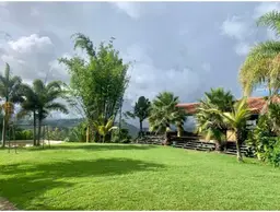 View 5