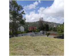 Vista 6