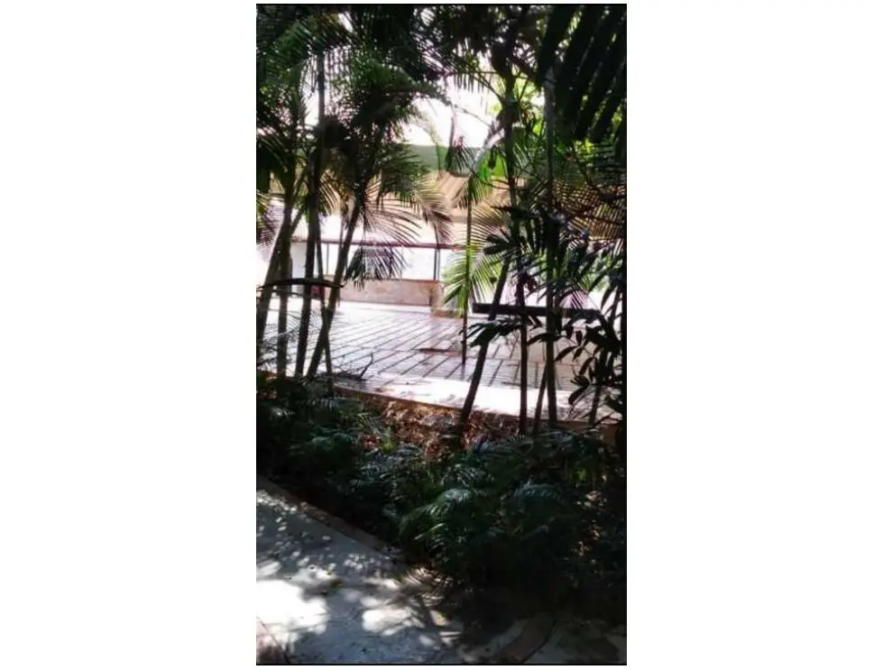 Se vende terreno 15769m2 Macaracuay 7898 - 3