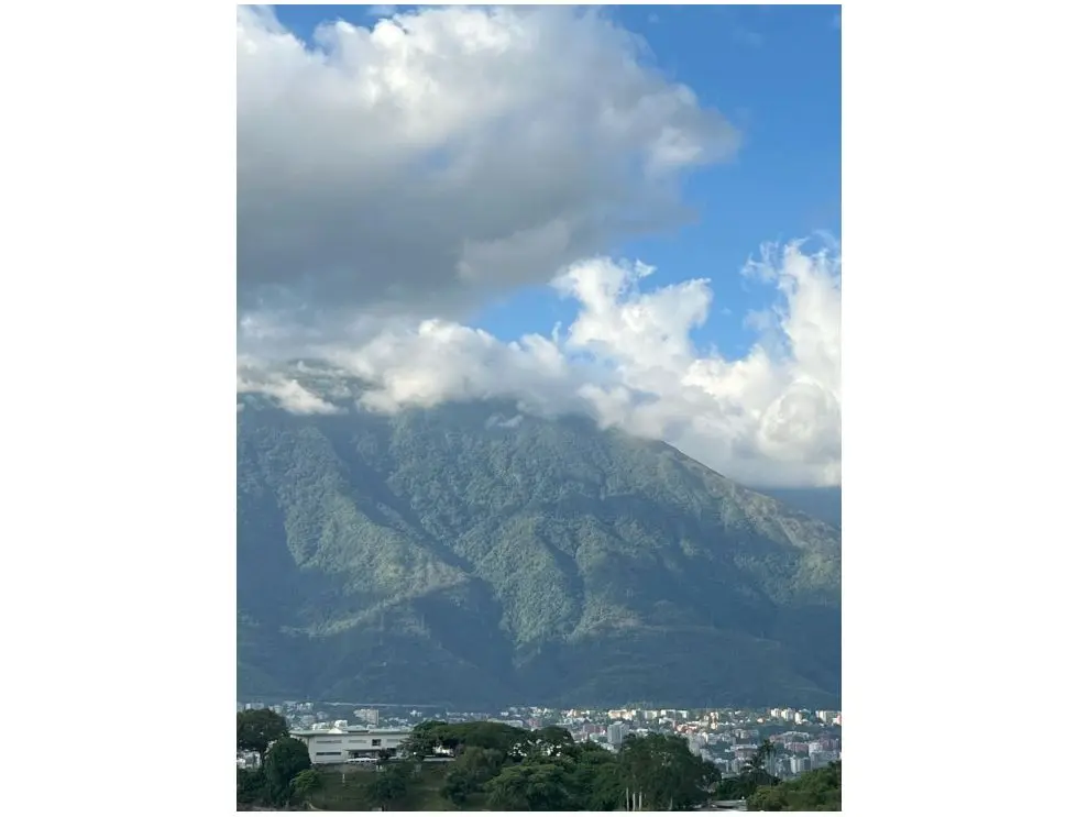Alquila o Vende Ph c/vista y terraza 387m2 Lomas de San Román 3778 - 14