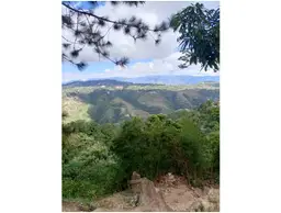 Vista 8