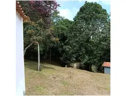 Vista 31