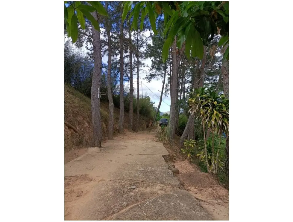 Se vende terreno 4729m2 Sabaneta-El Hatillo 8734 - 3