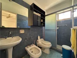 Vista 15
