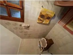 Vista 6