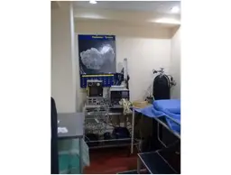 View 19