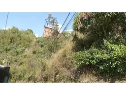 Vista 3