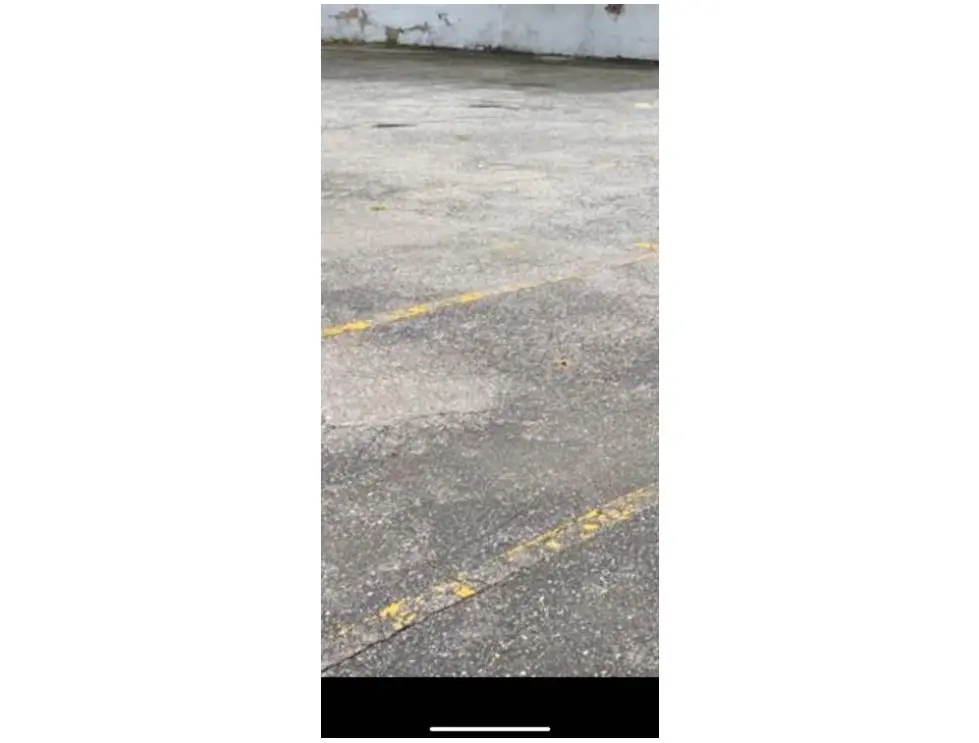 Vendo terreno 1900m2 Altamira 1483 - 4