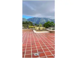 Vista 14