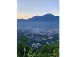 Vista 19