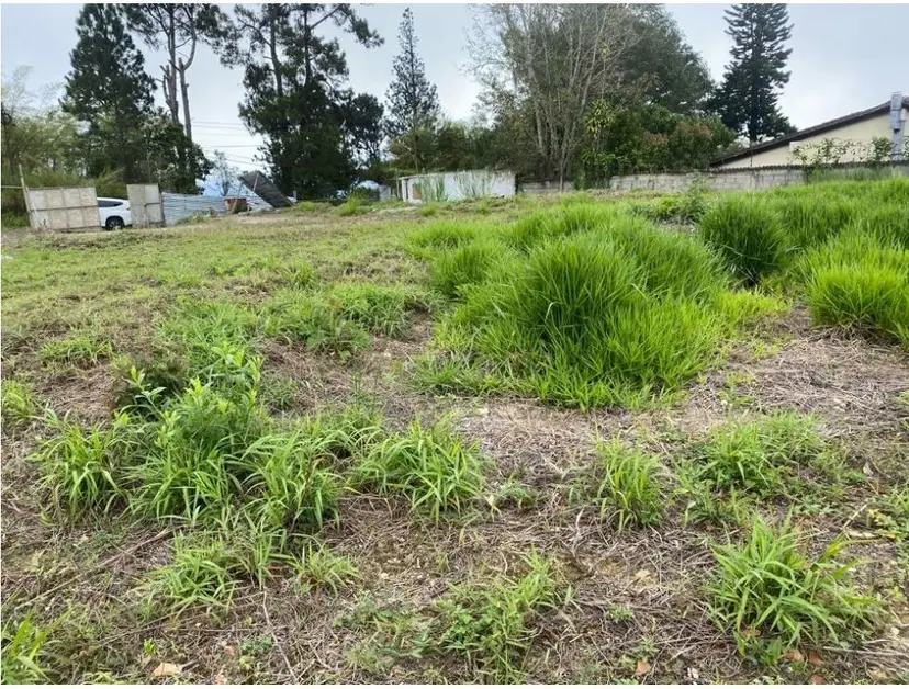 Vendo terreno 3.454m22 Oripoto