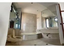 Vista 19