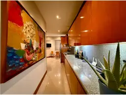 Vista 15