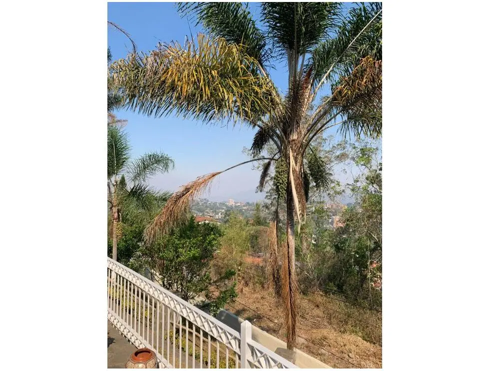 Se vende casa 1100m2 5h/6b/14p El Hatillo 1437 - 10
