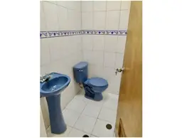 Vista 24
