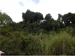 View 4