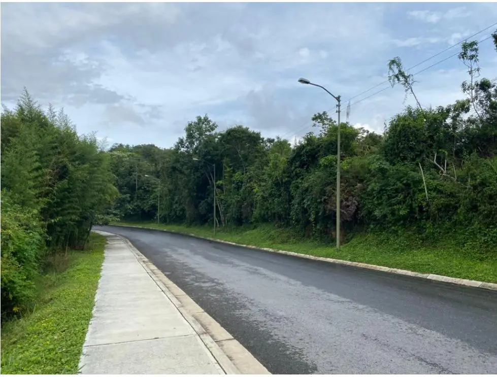 Se vende terreno 5100m2 Alto Hatillo 9430 - 13